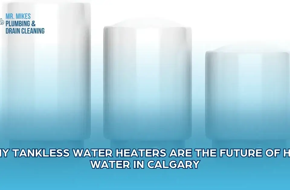 Why Tankless Water Heaters Are the Future of Hot Water For Calgary Homeowners