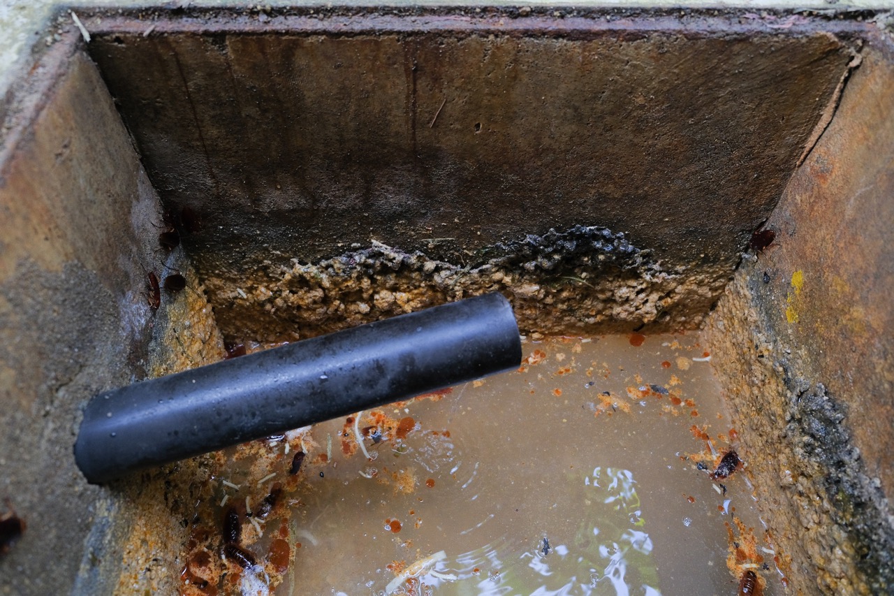 Signs Your Calgary Drain Needs an Inspection