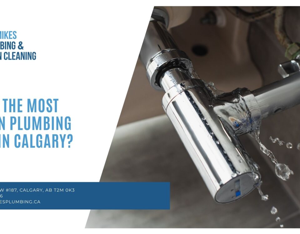 Most Common Plumbing Repair in Calgary