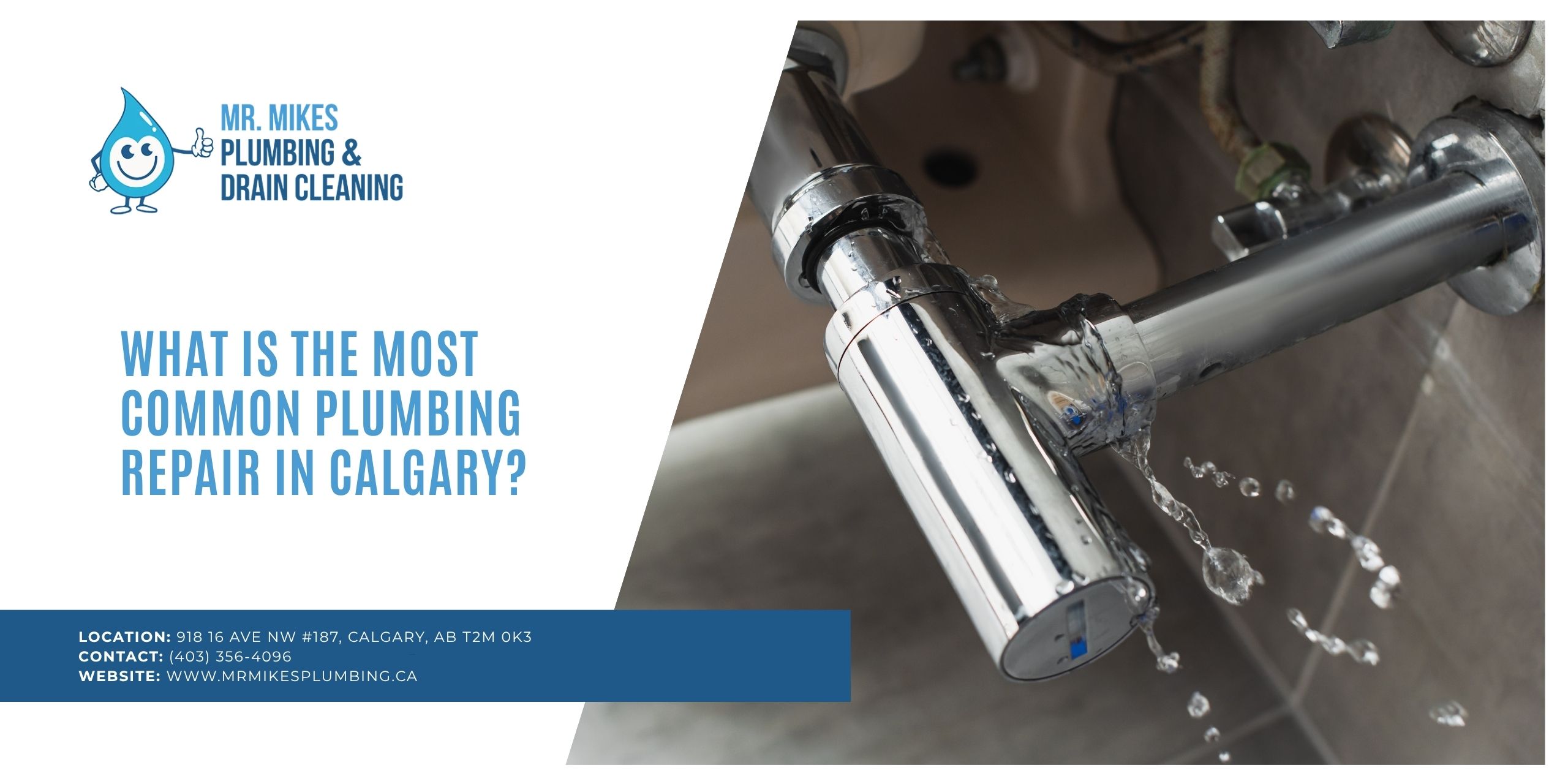 Most Common Plumbing Repair in Calgary